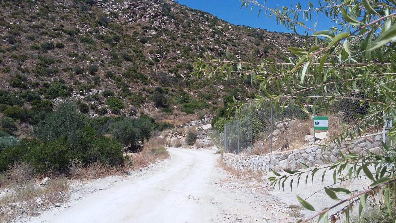 Bed & Breakfast Alegria Y Luna Bed & Breakfast Sorbas Екстериор снимка